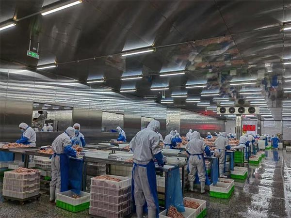 餐饮品牌网