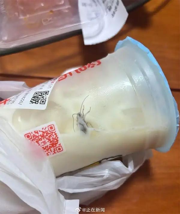 餐饮品牌网
