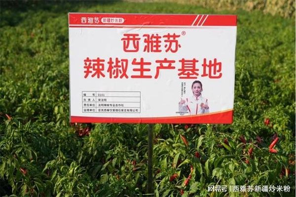 餐饮品牌网